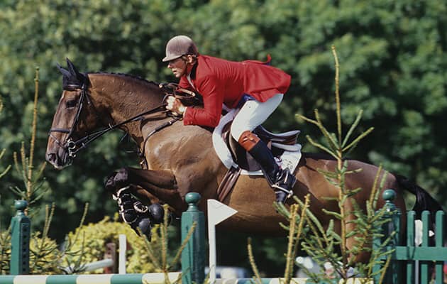 Irish Sport Horse Database